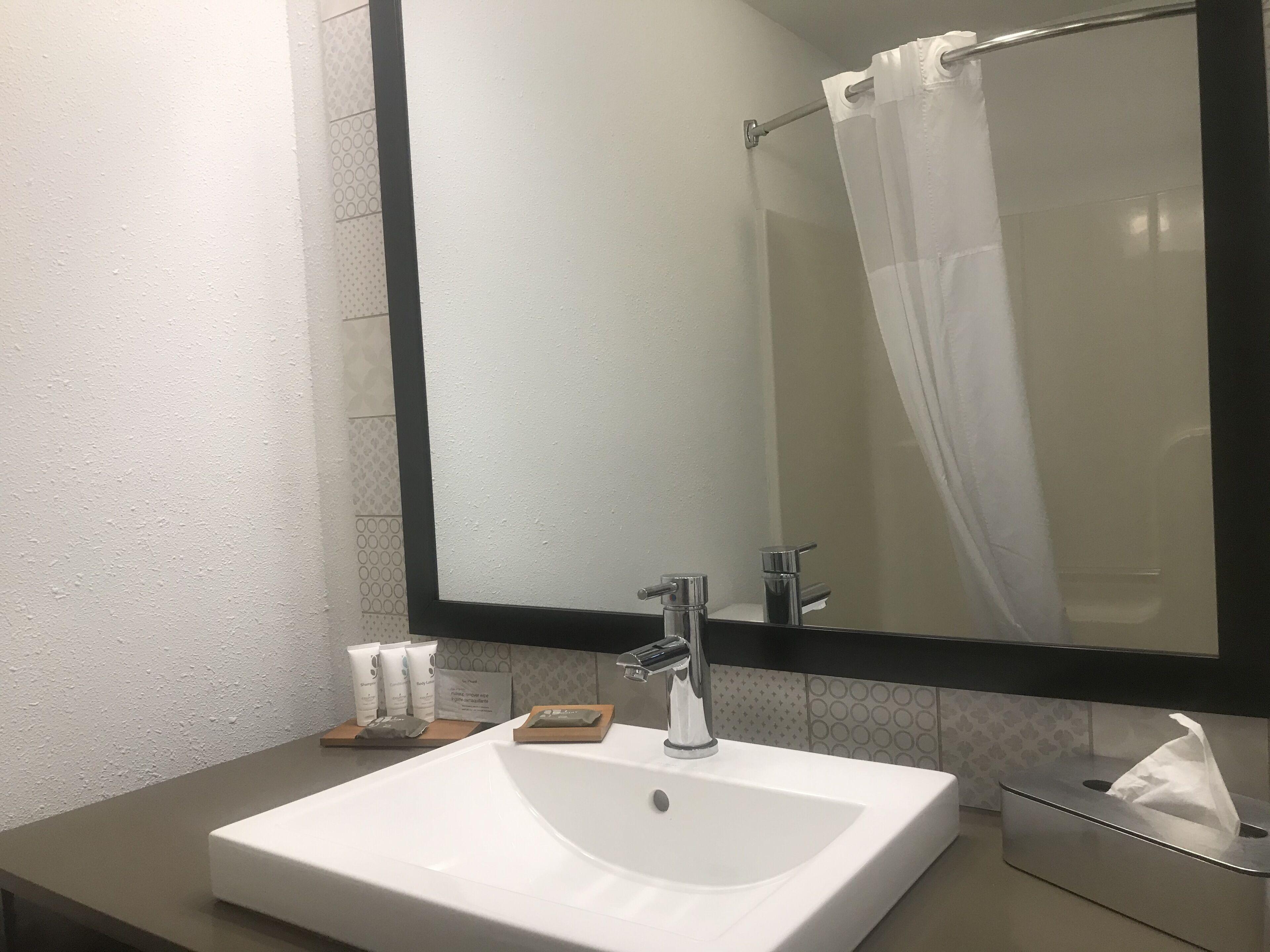 King Room Roll Shower Mobility Access