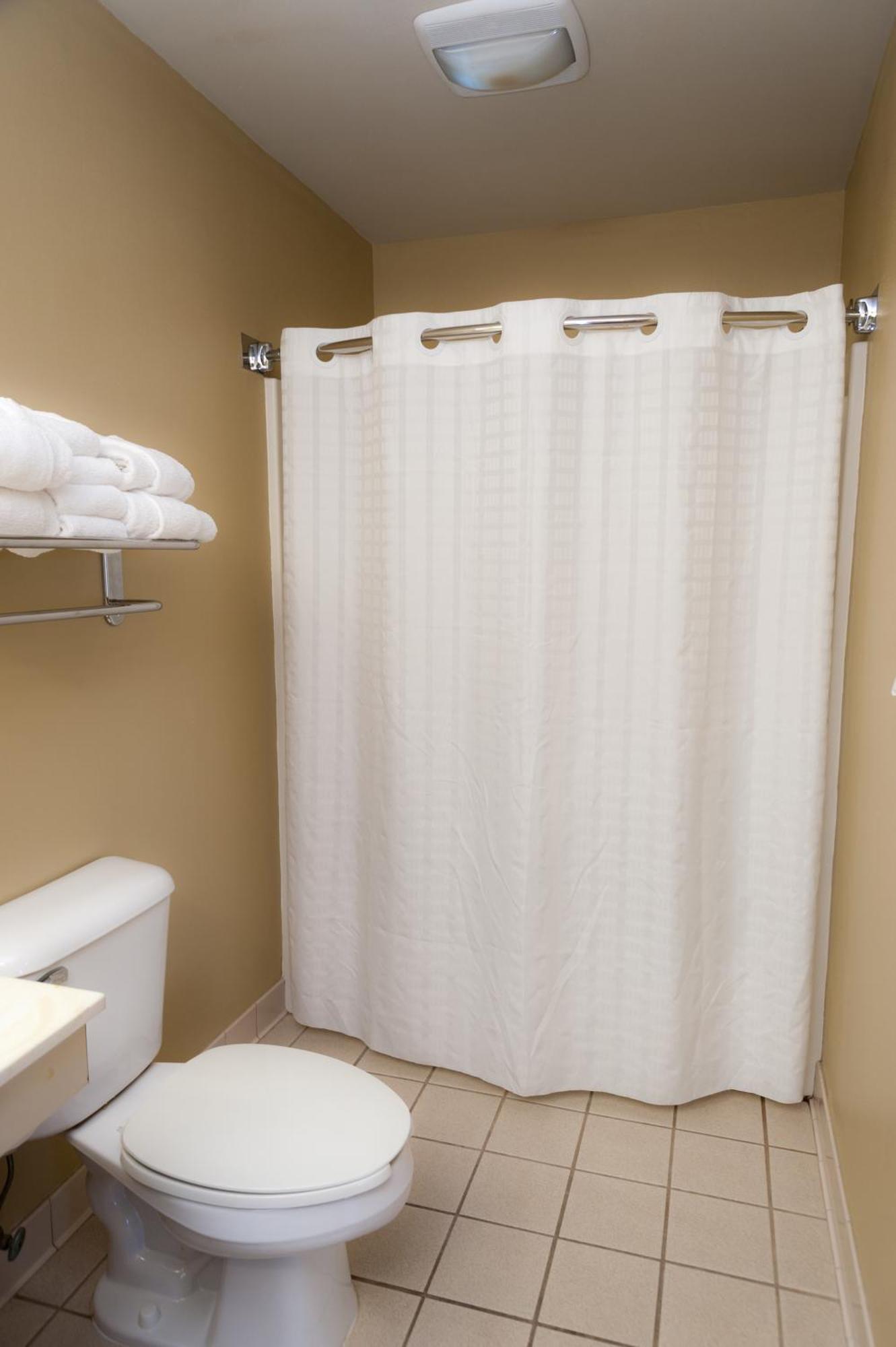 King Room Roll Shower Mobility Access